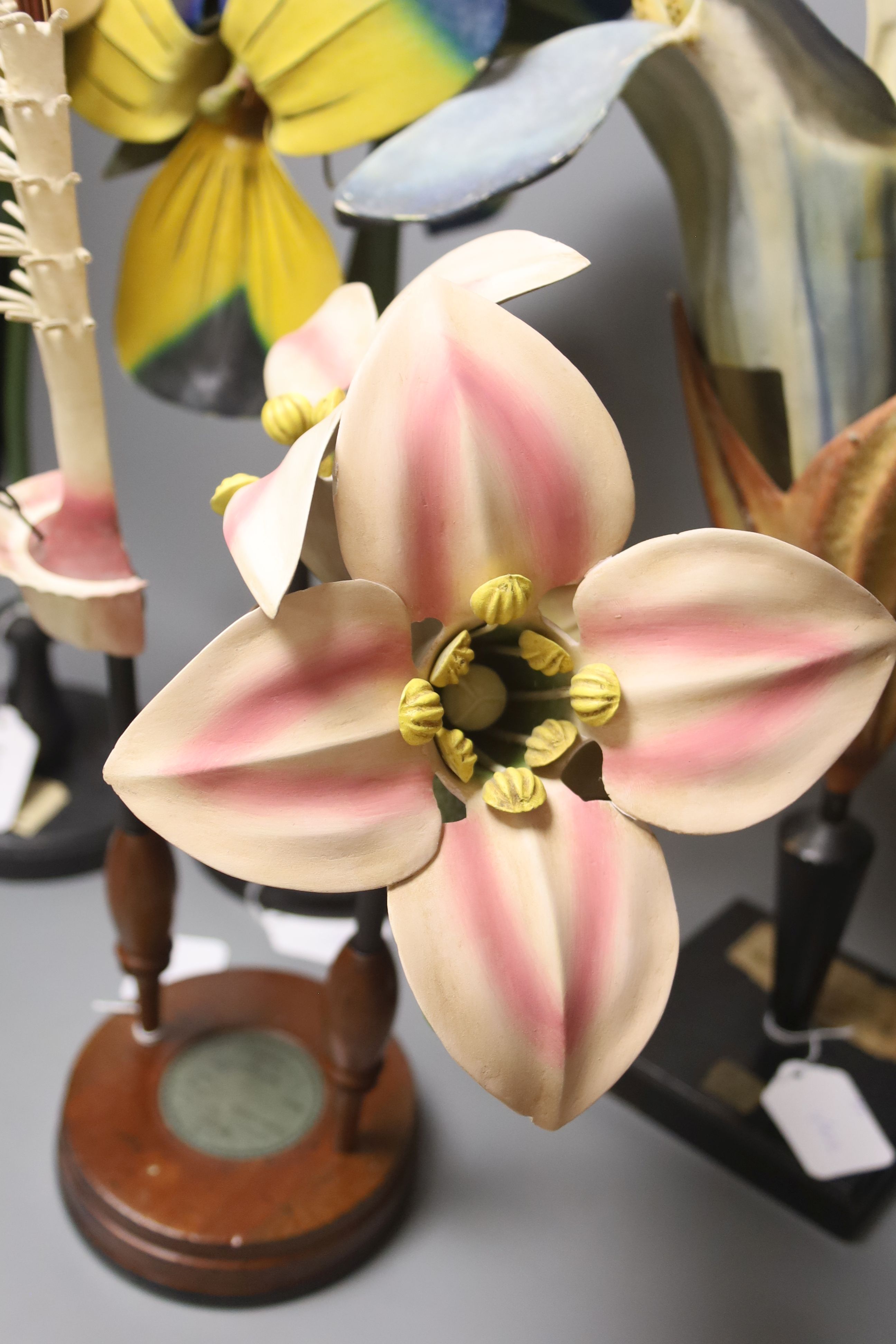 A Group of four 20th century German Brendel botanical specimen / teaching models, Pisum Pois Fluer, Viola Violaceae, Pisum Papilionaceae and Malva Malvaccae, the tallest 51cm high